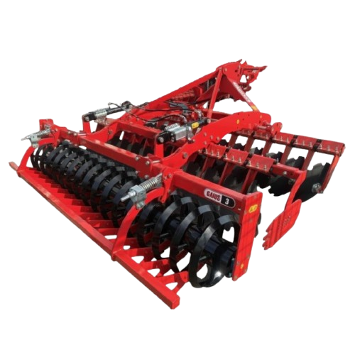 Kratka tanjurača Ozduman Gaius